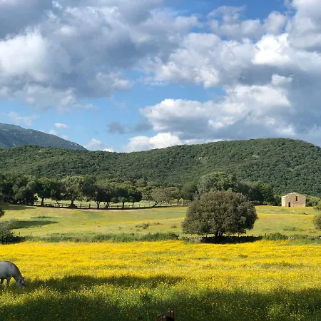 Olva *** * Sartene (Corsica)